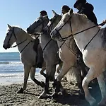 De 50m2 à 2 Pas Du Port Et Plage! * La Grande Motte