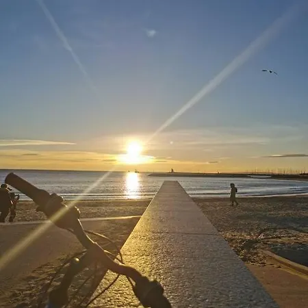De 50m2 A 2 Pas Du Port Et Plage! La Grande-Motte