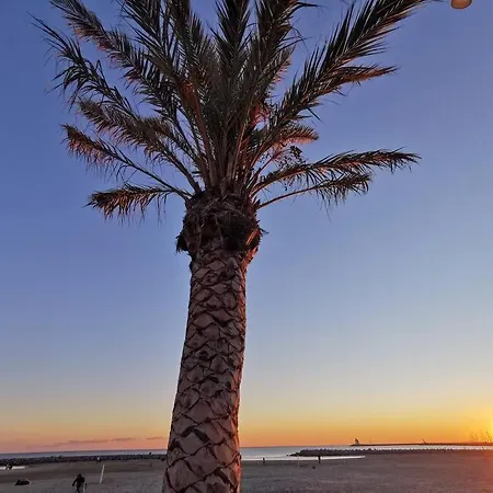 De 50m2 A 2 Pas Du Port Et Plage! *
