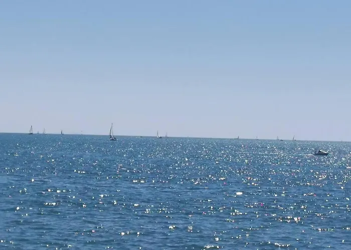 De 50m2 à 2 Pas Du Port Et Plage! Apartamento *
