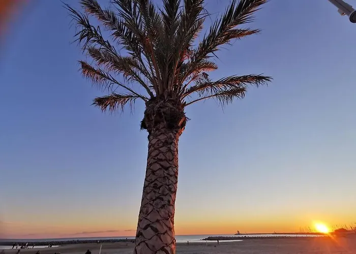 De 50m2 à 2 Pas Du Port Et Plage! *
